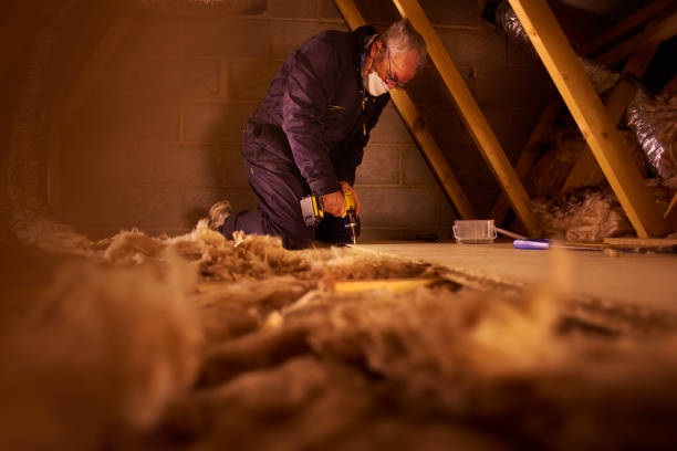 Best Insulation Materials and Products in Pinedale, WY